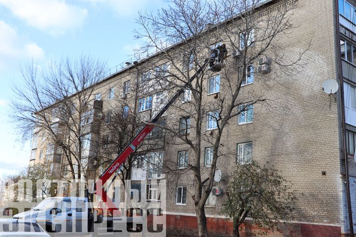 В Свердловске по просьбе горожан спилили ветки огромного ореха