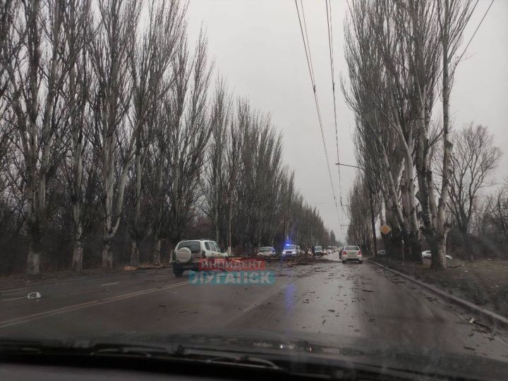 В Краснодоне сильный ветер повалил дерево на машину