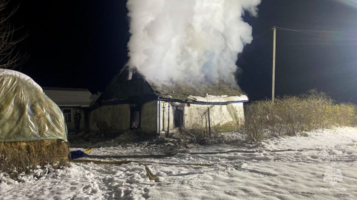 В одном из районов ЛНР произошёл серьёзный пожар, на котором сгорела хозпостройка с курами