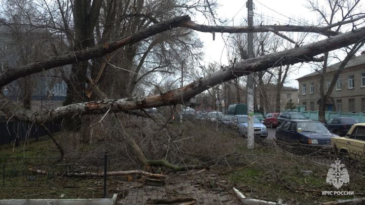 Непогода в разгаре: свердловчан призвали не выходить из дома из-за сильного ветра