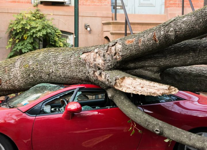 Владельцы повреждённых от урагана авто могут получить компенсацию: как это сделать?