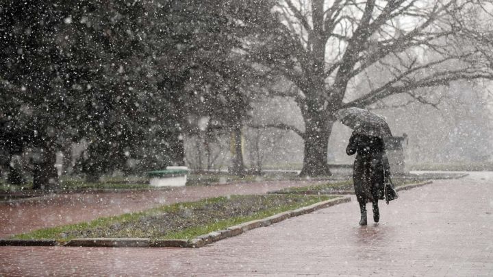 Усиление ветра до 18 м/с и мороз: синоптики сообщили о погоде в ЛНР 29 ноября
