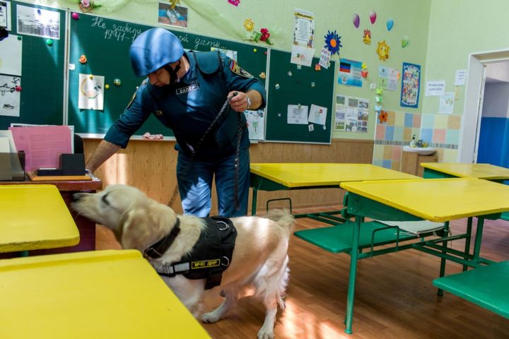 МВД: Сообщение о минировании школ в Луганске не подтвердилось, звонившие будут наказаны