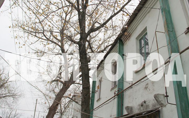 Многострадальный дом №41 в Свердловске: когда зданию ждать ремонт и будут ли обрезать деревья?