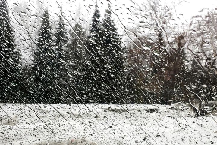 Штормовой ветер в сочетании с гололёдом и мокрым снегом: погода 15 декабря вновь «порадует» жителей ЛНР