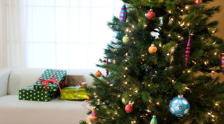 Жителям ЛНР разъяснили, когда лучше покупать живую ёлку, чтобы она сохранила свежесть