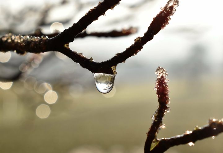 Ветер до 17 м/с, туман и до +8: в ЛНР на смену зиме пришла весна