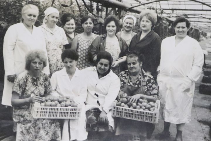 Краснодонская овощная фабрика - как некогда мощное предприятие кануло в небытие