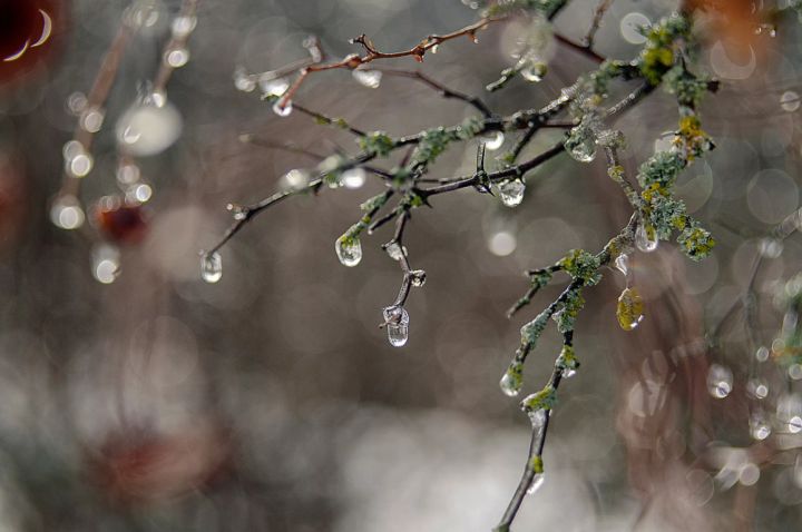 Дождь и +8: накануне Нового года в ЛНР держится весенняя погода