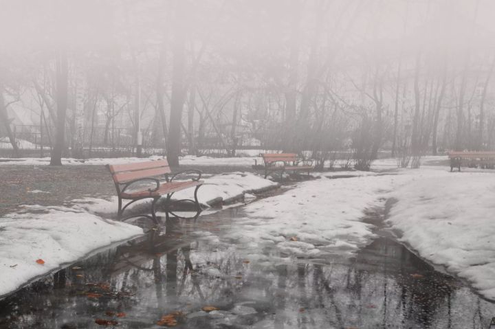 Туман с дождём и до +9: какой погоды ждать жителям ЛНР 22 декабря?