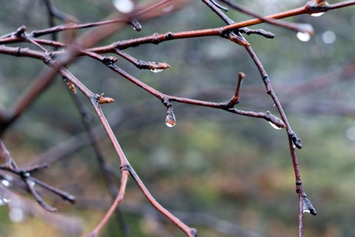 Выходные в ЛНР начнутся с дождливой и туманной погоды и с температуры до +6