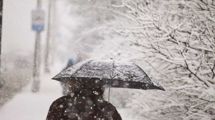Мокрый снег и мороз прогнозируют синоптики в ЛНР