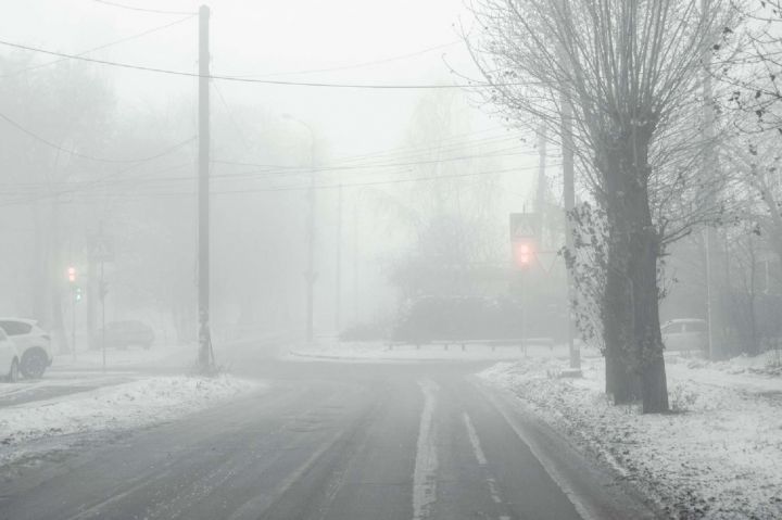 Ветер до 14 м/с, туман и дождь: синоптики рассказали о погоде в ЛНР 26 декабря