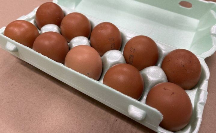 ФАС добрался в ДНР: на донецкие компании завели дела за завышение цен на яйца