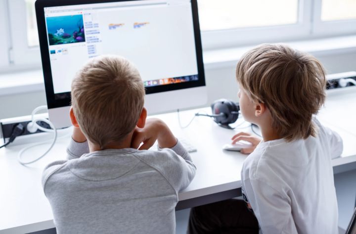 Будьте бдительны: мошенники в ЛНР прибегли к новой уловке, обманывая детей и выманивая у них деньги