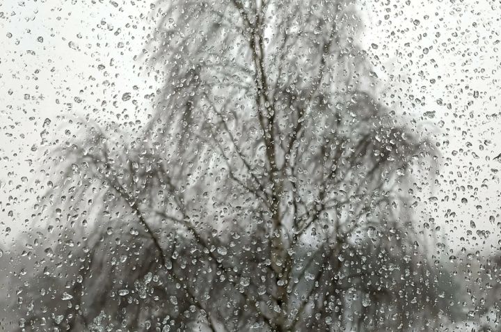 В ЛНР 27 декабря ожидается сильный ветер в сочетании с мокрым снегом и дождём