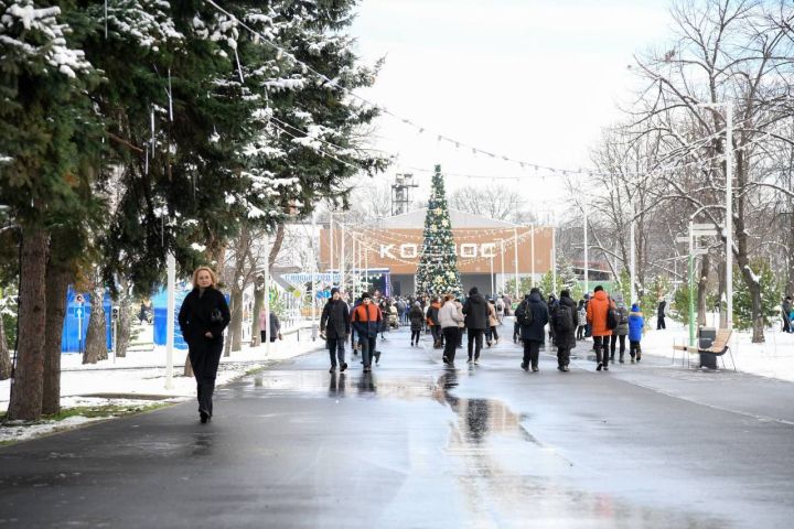 Обновлённый парк Щорса в Луганске начал свою работу: по какому графику он будет принимать посетителей?