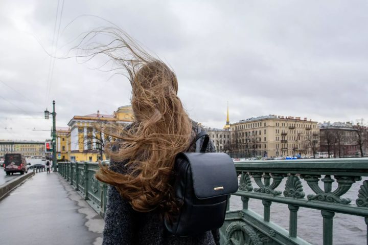 С ветром и до +8: какая погода будет в ЛНР за день до Нового года?