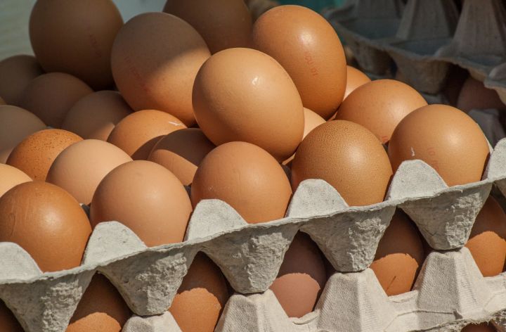 Не простые, а золотые: когда в России стабилизируются цены на яйца?