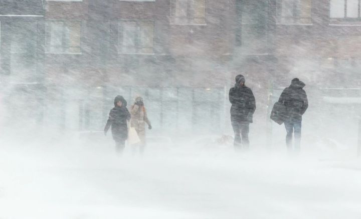 Жителям ЛНР приготовиться: метель и сильный ветер обрушатся на Республику в ближайшие дни