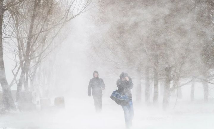 Грядёт непогода: МЧС напомнило жителям ЛНР, как избежать обморожения и уберечь себя в сильную метель