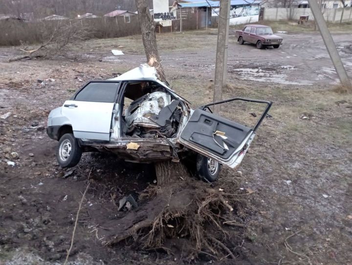 Столкновение с деревом в ЛНР превратило авто в груду металла, унесло жизнь водителя и покалечило пассажиров