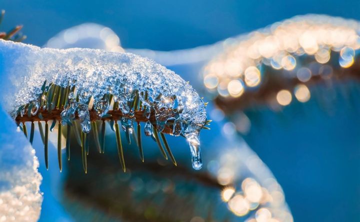 Оттепель пришла внезапно, но ненадолго: температура в ЛНР поднимется с -20 до +2