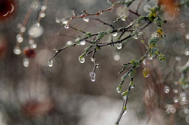 На смену аномальным холодам в ЛНР придут другие сюрпризы погоды: чего ждать жителям?