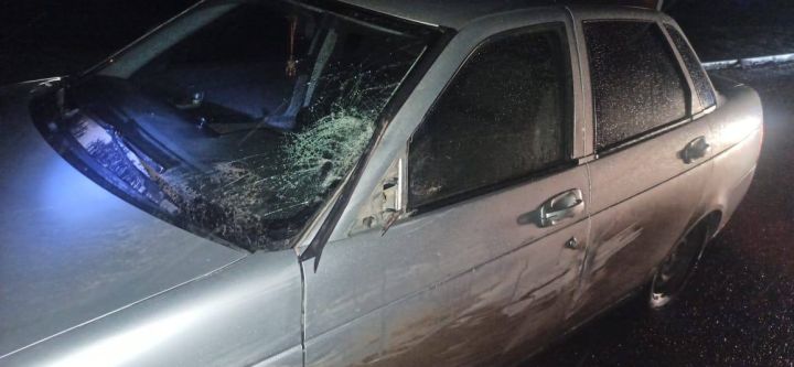 Пострадал ребёнок и погиб 22-летний пешеход: самые резонансные ДТП, которые произошли в ЛНР в выходные