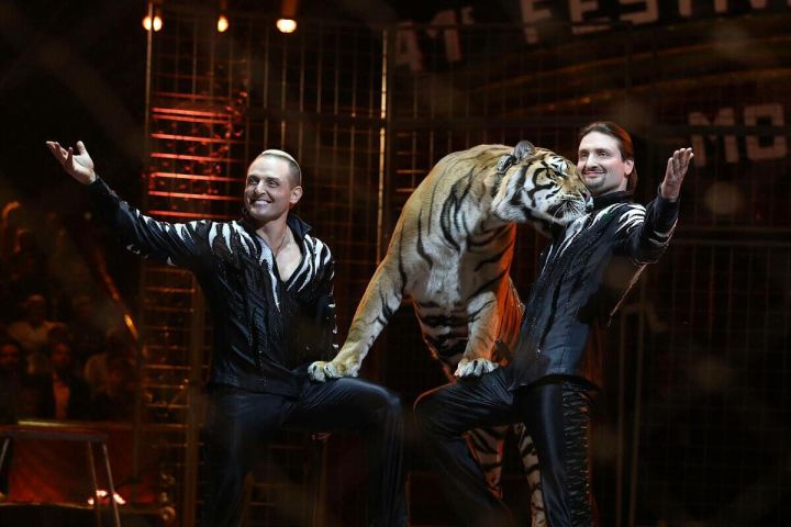 Братья Запашные в мае 2024 года представят цирковую программу в Луганске