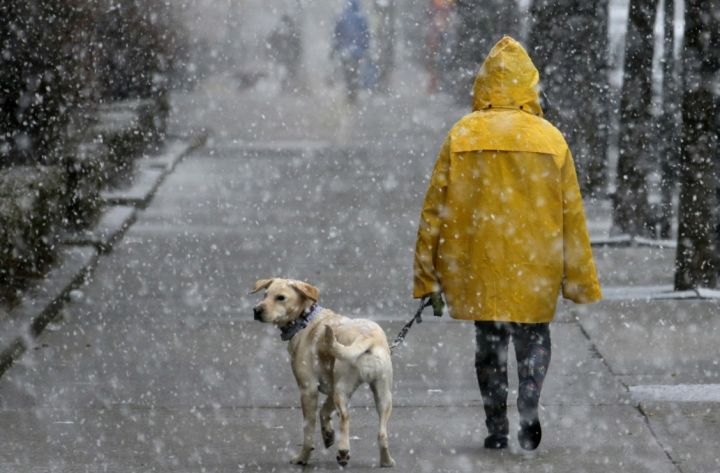 Мокрый снег, налипающий на провода, и ветер: какая погода будет в ЛНР 2 февраля?