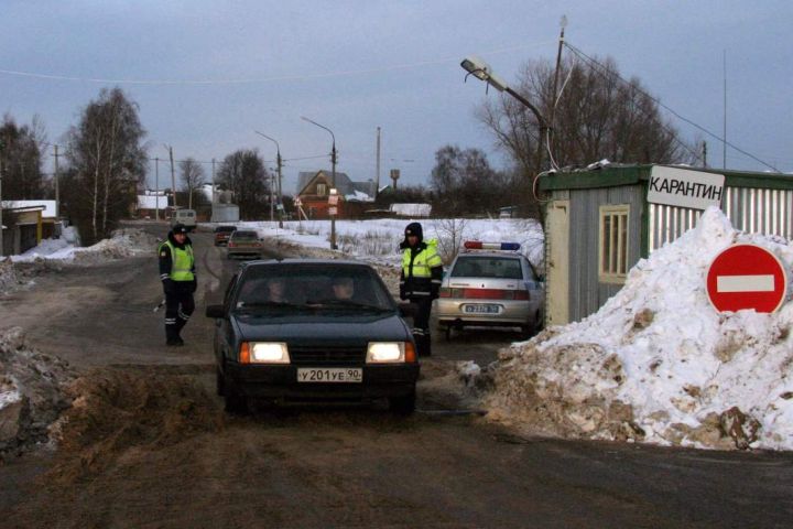 Больше 20 регионов РФ, среди которых граничащие с ЛНР, ввели карантин из-за бешенства животных