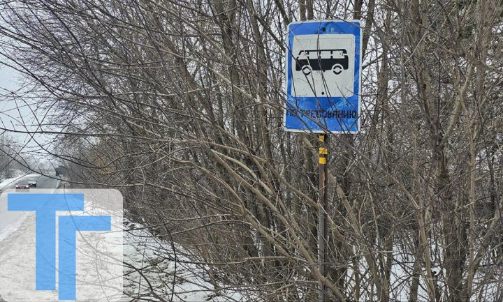 «Остановите здесь»: всё о работе общественного транспорта в Свердловске, остановке автобусов «по требованию» и наказаниях для водителей