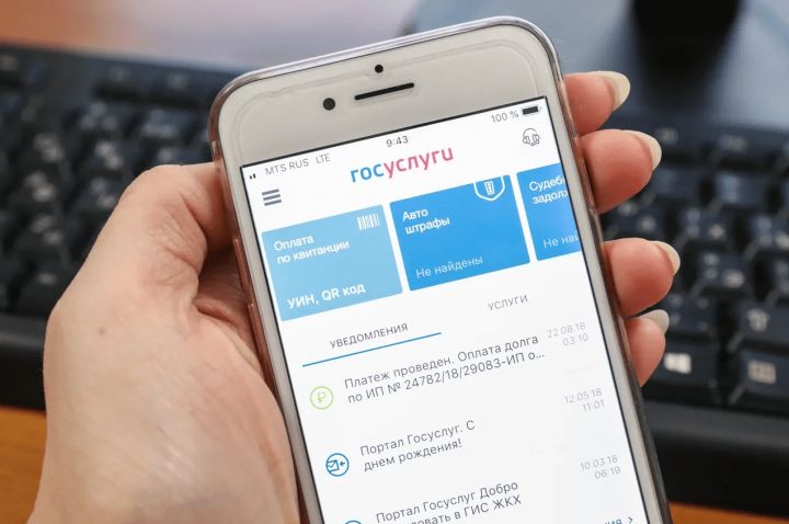 К концу года на «Госуслугах» можно будет оформить все льготы и пособия