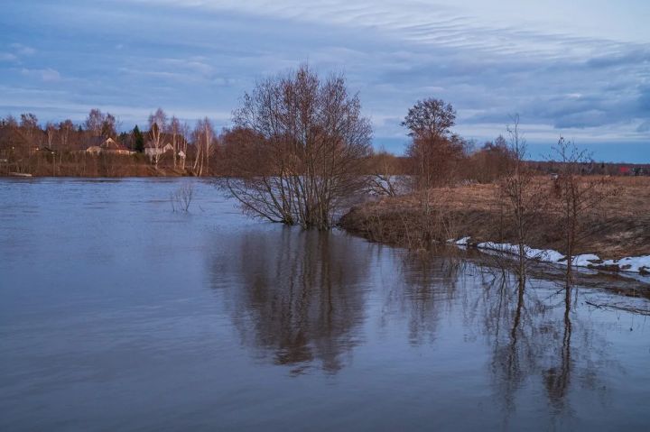 Внимание, опасность затопления: жителей некоторых районов ЛНР предупредили о подъеме уровня реки