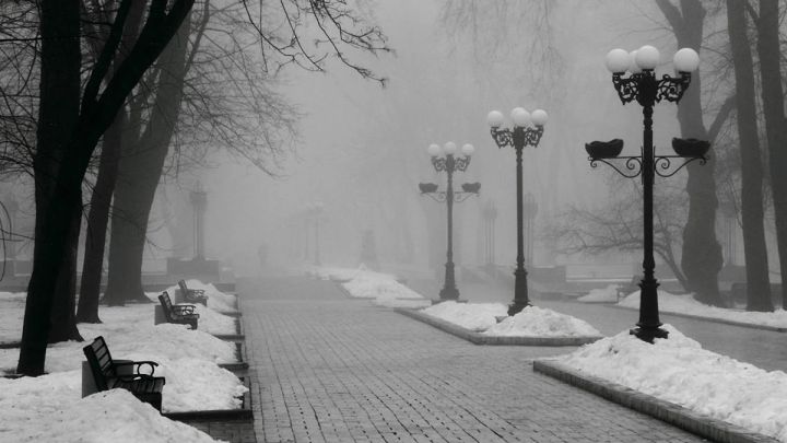 Местами дождь, туман и гололедица: синоптики рассказали о погоде в ЛНР 14 февраля