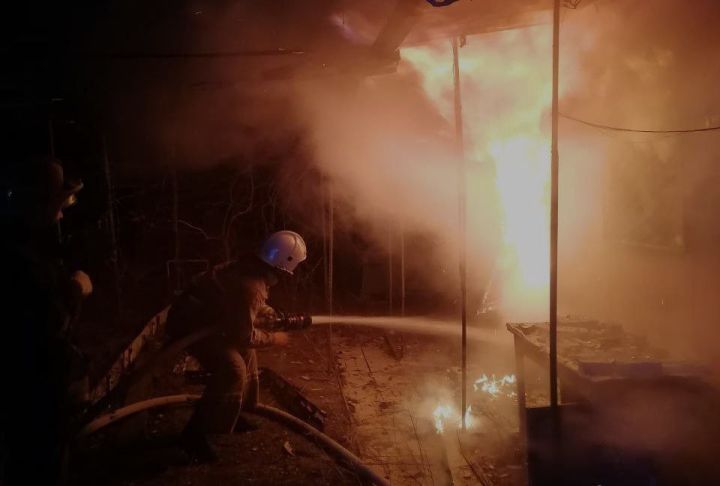 В Луганске ликвидировали масштабный пожар на территории садового товарищества