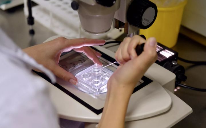 Роспотребнадзор разъяснил, сможет ли лихорадка денге попасть в Россию