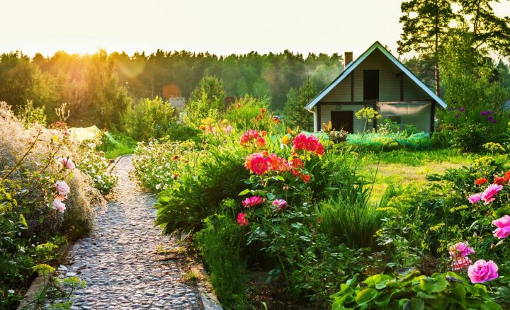 Юрист рассказала, за какую бытовую технику дачники могут получить штраф