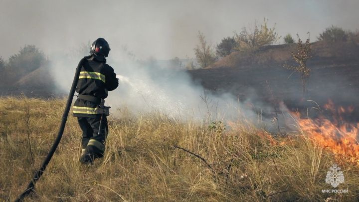 Сезон пожаров открыт? За два дня в ЛНР произошло около 30 ландшафтных возгораний