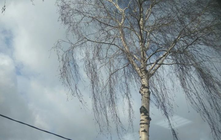 Внимание, жители ЛНР! Штормовое предупреждение будет действовать по Республике 28 февраля