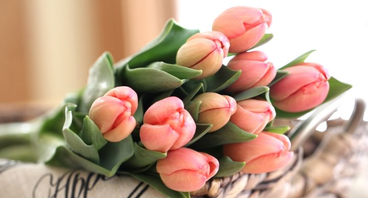 Полезно знать: как выбрать цветы накануне 8 марта и сохранить букет в течение месяца и дольше?