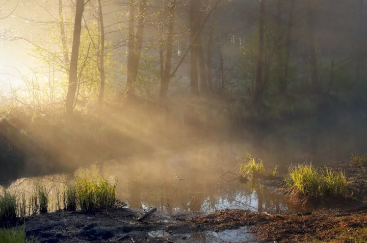 Ночью мороз до -12, утром туман и изморозь: синоптики рассказали о погоде в ЛНР 12 марта