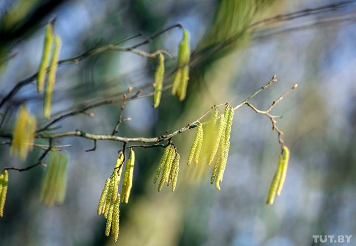 Без осадков, но с ветром: какая погода будет в ЛНР 13 марта