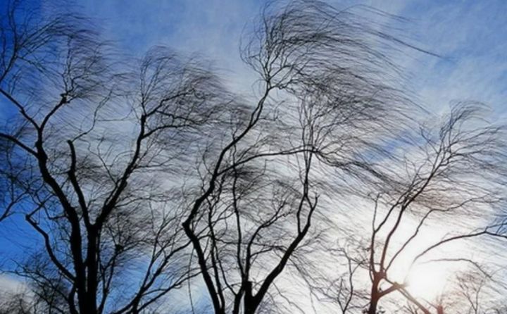 Внимание, население: штормовое предупреждение ожидается в ЛНР 14 марта