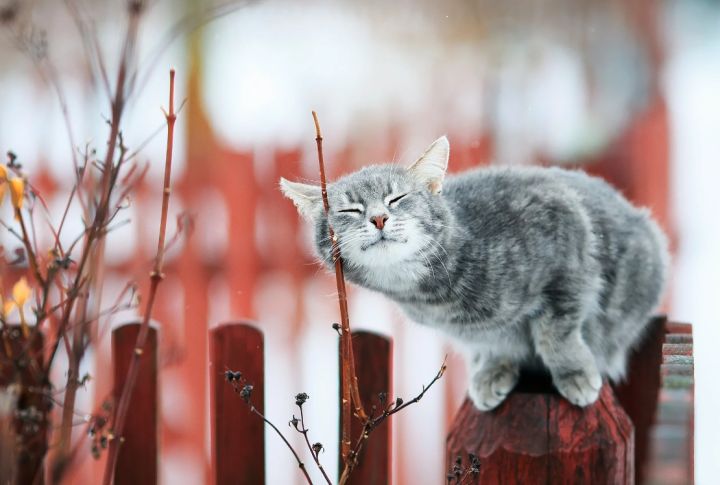 Прогноз погоды: на выходных в ЛНР потеплеет до +10, но ожидаются осадки