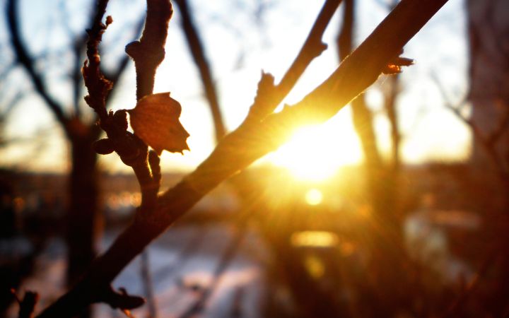 Потепление пришло: прогноз погоды в ЛНР на 17 марта