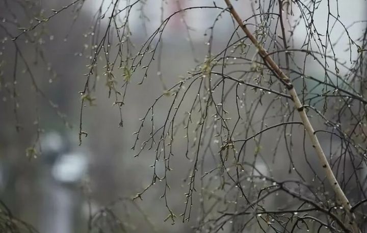 Будет дождливо и тепло: прогноз погоды в ЛНР на 18 марта