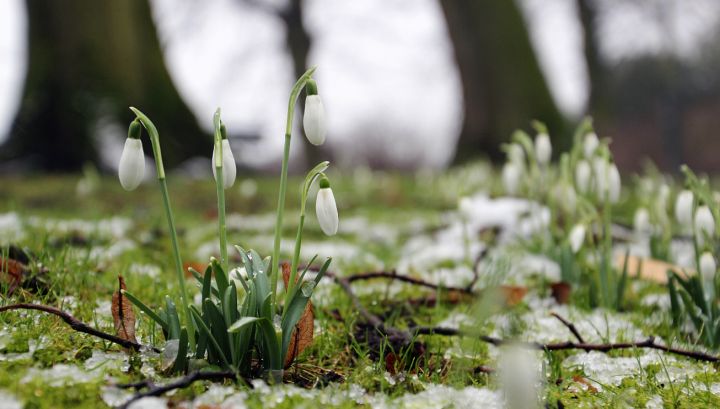 До +13, но с небольшим дождём: погода в ЛНР 19 марта порадует теплом