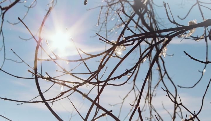 Тепло, без осадков, но с ветром: синоптики рассказали, какой погоды ждать жителям ЛНР 20 марта